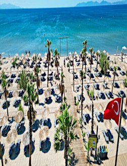 Genel